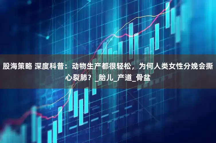股海策略 深度科普：动物生产都很轻松，为何人类女性分娩会撕心裂肺？_胎儿_产道_骨盆