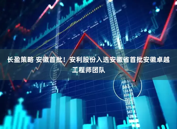 长盈策略 安徽首批！安利股份入选安徽省首批安徽卓越工程师团队
